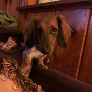 Meet your Posher, Elizabeth